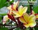 Plumeria Rainbow: Amazing Plumeria Photographs Vol. 1