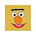 Sesame Street Bert Face T-Shirt