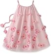 Blue Pearl Girls 2-6X Mesh Heather Dress With Flowers and Cord