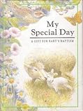My special day : a gift for baby's baptism