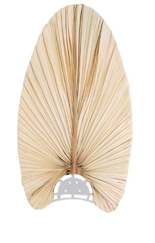 Emerson B20tl Maui Bay Tropical Leaf Blades 23 Inch Long 12 Inch