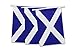 Scotland Flag Scottish String Flags Banner 33ft Decoration