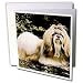 shih tzu - Dogs ShihTzu - Shih Tzu - Greeting Cards-6 Greeting Cards with envelopes