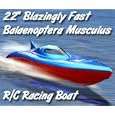 Balaenoptera Musculus RC Racing Boat
