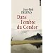 Dans l'ombre du Condor