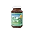 Pines International - Wheat Grass Tablets, 500 Mg, 250 Tablets ( Six Pack )