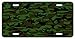 Lp - 551 Camo Camoflage Blanks License Plate - X349