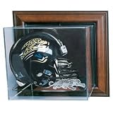 Helmet Case-Up Mirror Back w/Logo