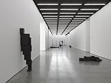 Antony Gormley : Model : 28 November 2012-10 February 2013