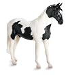 Pinto Sport Horse - Black&nbsp;