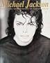 Michael Jackson: The Visual Documentary