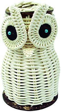 Owl Caxixi Shaker Musical Plastics Maraca Rattles Percussion party favor Child Baby shaker Toys