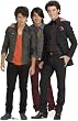 Jonas Brothers -- Group Life-Size Standup Poster