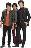 Jonas Brothers Group Kevin Joe Nick Life-size Cardboard Standup Standee Cutout Poster 8