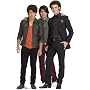 Jonas Brothers Group Kevin Joe Nick Life-size Cardboard Standup Standee Cutout Poster 8