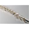 Querflöte de luxe by Le Marquis N.Y. LM-FLE-SS high-quality