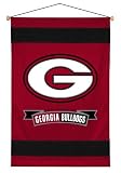 Georgia Bulldogs Sideline Wall Hanging (29x45) NCAA