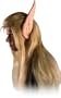World Of Warcraft Blood Elf Prosthetic Latex Kit Costume