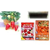 いちごプランター栽培キット:あきひめ(章姫)4株セット...