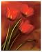 Tulip Fiesta in Red and Yellow II Art Print Poster by Richard Sutton