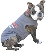 Dog T-Shirt WARNING I can hold my licker XXL