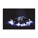 50 White LED Solar Fairy Lights
