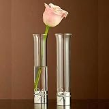 Vera Wang Love Knots Bud Vase, Pair