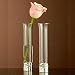 Vera Wang Love Knots Bud Vase, Pair