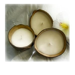 Soy Coconut Shell Candle