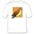 T-shirt with brown, garrulus, bombycilla, bird