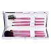 Sonia Kashuk® BCRF Brushed to Perfection 6-pc. Brush Set