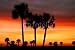 Wallmonkeys Peel and Stick Wall Decals - Florida Dreams - Removable Graphic