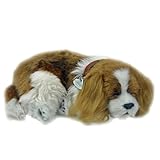 Perfect Petzzz Cavalier King Charles - Soft Body [Toy]