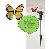 ���i�̏ڍ�