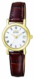 Citizen Eco-Drive Ladies' Strap Watch