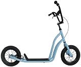NEW STREET MOVE SCOOTER BIKE(スクーターバイク) スカイブルー