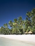 Boracay Beach, Palm Trees and Sand, Boracay Island, Philippines Photographic Poster Print by Steve Vidler, 12x16