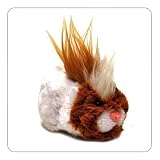 Zhu zhu (Go~Go) ~ Hamster Pets Rockstars ~ Pax