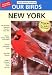 Software : Birds of New York v3.9