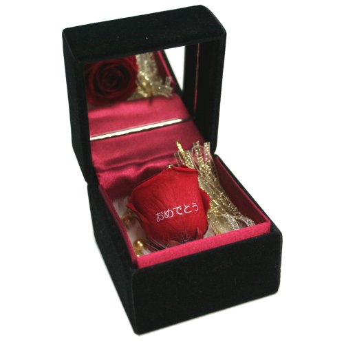 メッセージローズ (Preserved Rose) ローズブラックミラーボックス Small~ローズパンドラボックス~レッド 【おめでとう】 22273