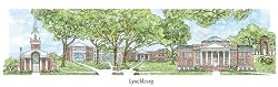 Lynchburg College - Collegiate Colors - 5" x 13" Framed Prints