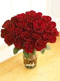 Two Dozen Wanted Roses, Eco-Friendly - Veriflora Certified, Red Rose Bouquet