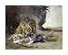 Lion Rending Apart a Corpse by Eugene Delacroix. Size 21.75 inches width by 16.96 inches height. High Quality Art Poster Print