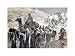 Women of Ziklag Taken Into Captivity by James jacques Tissot. Size 15.97 inches width by 10.79 inches height. High Quality Art Poster Print