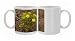 A yellow daisy bush Photo Mugs