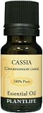 Cassia 100% Pure Essential Oil   10 ml