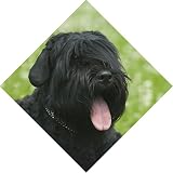 Eigenschaften Das Tierporträt  / Maxi-Auto-Aufkleber Schwarzer Russischer Terrier 50 x 50 cm