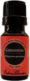 Geranium 100% Pure Essential Oil- 10 ml