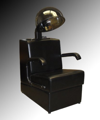 Professional Dryer and Chair Combo Set