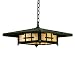 Asian Oak Knoll Outdoor Lighting BY Troy Lighting